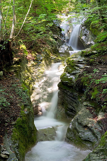 waterfall, cascade, gorge, nature, creek, gulch, gully, water, sunbeam, forest