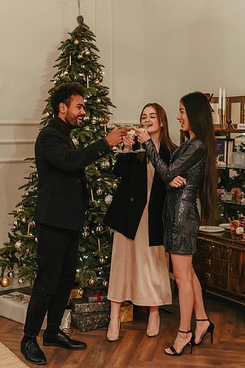 amis portant un toast, Sapin de Noël, célébration de groupe, fête intérieure, boissons festives, rassemblement de vacances, arbre décoré, des amis toasting, Célébration de Noël, fête de vacances, atmosphère festive