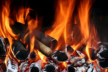 burning wood, glowing embers, bright flames, fired charcoal, vibrant image, hot fire, wood fire, burning logs, firewood, ember glow, flame intensity