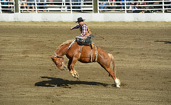 kovboj, Červená a bílá košile, hnědý kůň, vzpínajícího se koně, Rodeo událost, venkovní rodeo, Zkušený jezdec, kovbojský klobouk, tričko s dlouhým rukávem, Rodeo Arena, jízda na koni