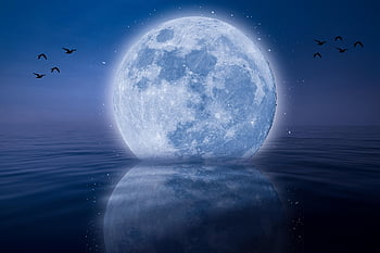 月、 海洋、 反射、 夜、 星、 自然、 満月、 月光、 輝く、 明るい、 海