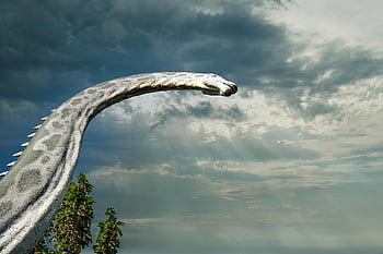 dinosaurios, jurásico, naturaleza, prehistoria, animales, reptiles, antiguo