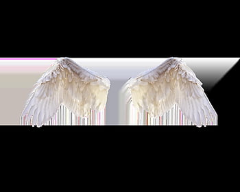birds, wings, nature, feathers, cutout, pens, liberty, fly