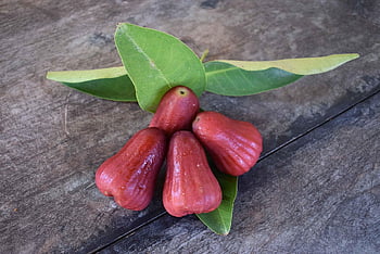 mela rosa acquosa, mela d'acqua, frutta, frutta a campana, cibo, mela di cera, mela java, fresco, biologico, maturo, salutare