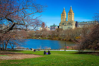 New York, centrální park, městský život, Příroda, Manhattan, nyc, panoráma města, stromy, jezero