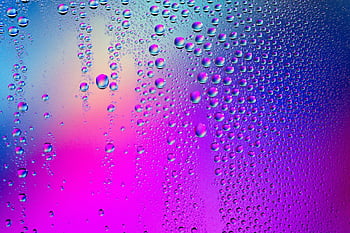 water Drops, gradient, background, hd Wallpaper, pink, purple, blurred Background, Wallpaper, free Background, nature, laptop Wallpaper