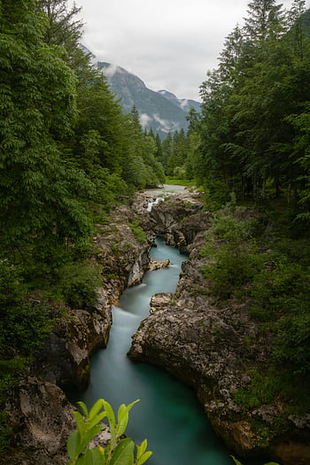 river, forested area, verdant forest, distant mountains, nature lovers, picturesque river, flowing river, natural scenery, outdoor landscape, mountain view, greenery
