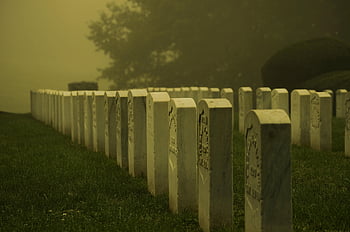 graves, cemetery, graveyard, tombs, tombstones, veterans' Cemetery, memorial Ground, military Graves, grave, veterans, soldier