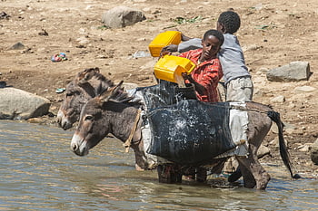 Eritrea, Afrika, rejser du, ørken, fattigdom, vand