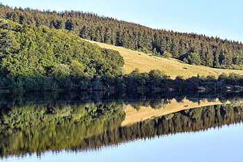 بحيرة،  الأشجار،  مجالات،  غابة،  الصنوبريات،  صنوبري،  غابة صنوبرية،  انعكاس،  النسخ المتطابق،  أنعكاس الصورة،  طبيعة