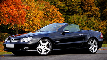 Black Mercedes Benz, Cabriolet-Coupé, SL -Klasse, Luxusreisen, Herbstlaub, Parkplätze im Freien, schwarzes Cabrio, Mercedes Benz SL, Luxusauto, Herbstlandschaft, im Freien geparkt