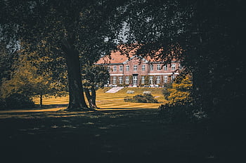 hrad, budova, park, louka, stromy, vlastnictví, krajina, Příroda