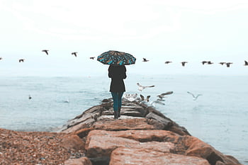 우산을 든 여자, 해변 바위, 날으는 새들, 바다 경치, 해안의 장면, 해변에 우산, 비행 갈매기, 바위가 많은 해안선, 해변 분위기, 바위에 여자, 바다에 의한 우산