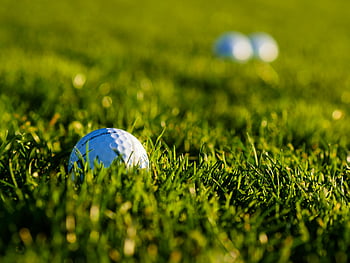 golfboll, grönt gräs, närbild, sporttema, detaljerad vy, livlig gräs, utomhussport, golfbana, golfutrustning, naturbakgrund, golfscen