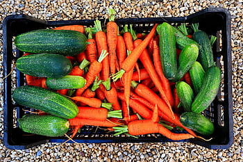 vegetables, pickles, zucchini, carrots, crate, food, green, delicious, costs, eat, scoop