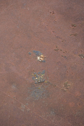 rusty metal, weathered surface, close-up texture, decayed metal, old stone, rust spots, textured surface, metal decay, weathered metal, stone surface, decay marks