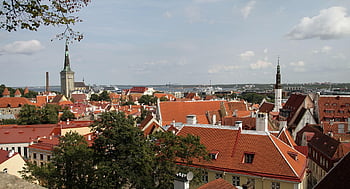 střechy, Pohled, architektura, budov, tallinn, Estonsko