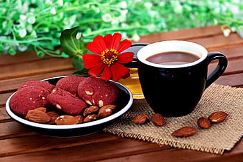 varm choklad, småkakor, mellanmål, förfriskning, kopp, choklad, drycker, blomma, fat, honung, valnöt