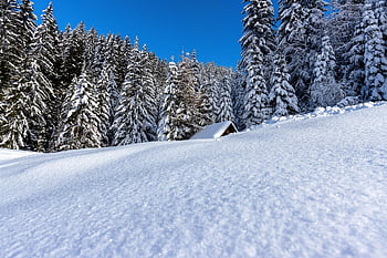 hegyek, fák, természet, erdő, hó, jég, fagyott, fagy, télies, meseország, december