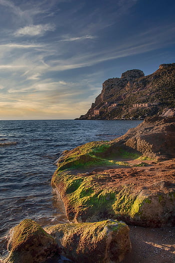 sea, cliff, sunset, nature, rocks, algae, lighting, clouds, landscape