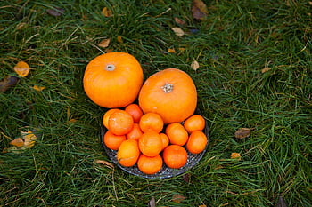 tangerine, pumpkin, orange Fruits, fresh, vitamins, helloween, fruits, food