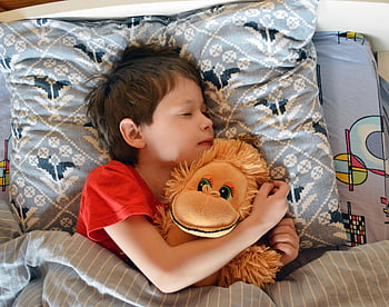 dream, baby, boy, sleeping With A Toy, vacation, kids, portrait, sweet Dream, a Child's Dream, bed, dreams