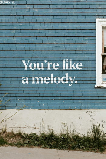 blue wall, mural, text, wooden wall, Dartmouth, Canada, quote, You're like a melody, building, street art, outdoor art