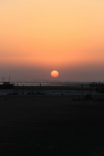 sunset, birds, beach, Bhadreshwar beach, tranquil view, soft orange hues, seaside sunset, beach sunset, orange sunset, coastal sunset, beach scene