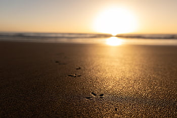 strand, homok, lábnyom, Spanyolország, Kanári szigetek, lanzarote, láb, Napkelte, természet, hullámok, tenger