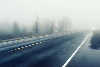 mlhavé silnici, zimní silnici, snížená viditelnost, Holé stromy, mokré dlažby, šedý beton, mlhavá atmosféra, prázdné silnici, zimní krajina, silniční značení, Mlstvé počasí