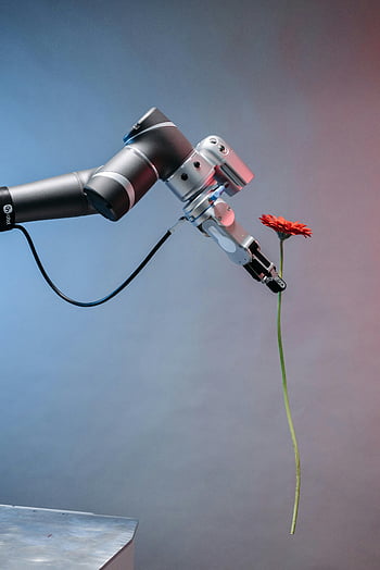 robotické rameno, červená květina, technologie a příroda, harmonie, jemný dotek, jediný květ, Robot drží květinu, Mechanická paže, futuristický design, umělá inteligence, automatizace