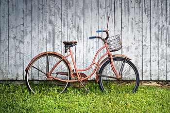 vintage sykkel, Rusten ramme, kurv, trevegg, klassisk sykkel, utendørs scene, gress, retro stil, gammel sykkel, skjev, forvitret tre