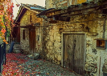podzimní nálada, podzimní barvy, dveře, starý, vchod, dřevěný, starý dům, architektura, tradiční, opuštěný, rozpad