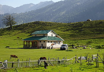 countryside, house, nature, pasture, resort, sonamarg, kashmir
