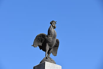 kohout, Symbol kohouta, Francouzský znak, Označení stromku, Kovový kohout, Státní znak Francie, Commune Le Teilleul, normandie, Rukojeť