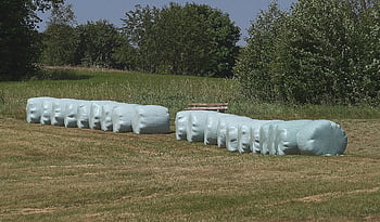 ballots de paille, ensilage, agriculture, récolte, cour de ferme, alimentation du bétail, des champs