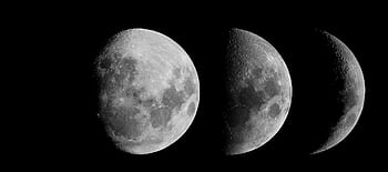 Fáze Měsíce, zvěrokruh, astronomie, noc, měsíční svit, kosmos, fáze, prostor, Věda, měsíční, vesmír