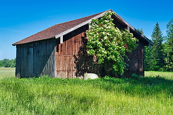 grange de champ, Grange, pellicules, agriculture, la nature, cabane en bois, Chiemgau, la bavière, Toit en tuiles, Scheuer, champ