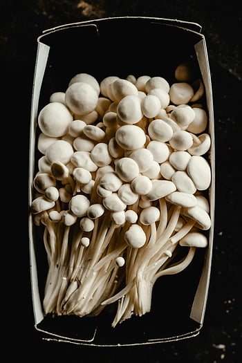 houby, Houby Enoki, balení box, Čerstvé houby, detail, Unikátní textura, fotografování potravin, Gourmet ingredience, bílé houby, kulinářské přísady, zdravé jídlo