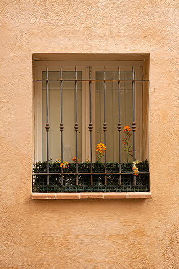 aix-en-provence, zdobené okno, květiny, detail, architektura, Francie, okno, dekorativní, tepané železo, stavební fasáda, šarm
