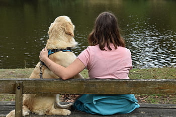Mladá dáma, jezero, Zlatý retriever, Pes, park, koníčky, Příroda, psí, zvíře, spoluúčast, domácí zvíře