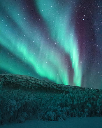 aurora lights, aurora borealis, winter landscape, starry night sky, northern lights, vivid aurora, night sky, winter scene, natural phenomenon, polar lights, snowy landscape