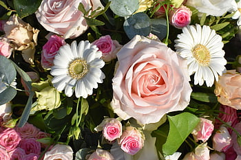 flowers, plants, bouquet, roses, daisies, bloom, leaves, offertory, decorative