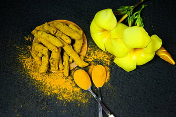 Žluté květy starší, Potažená kurkuma, Kurkuma kořeny, prášek kurkumy, žluté květy, černé pozadí, detailní fotografie, Kulinářské koření, Bylinné ingredience, přírodní prostředky, zářivé žluté