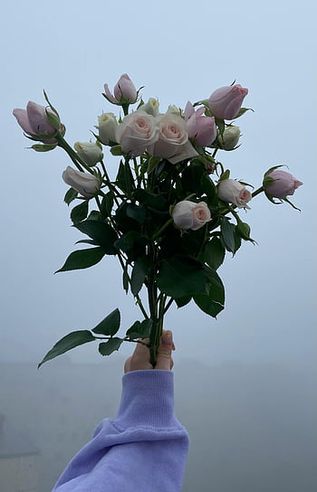 foggy weather, bouquet, pink roses, hand holding, floral arrangement, outdoor scene, soft focus, natural light, romantic atmosphere, misty background, delicate flowers