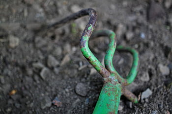 rake, tool, garden Tool, old, rusted, green, equipment, working Device, garden, floor, hand Tool