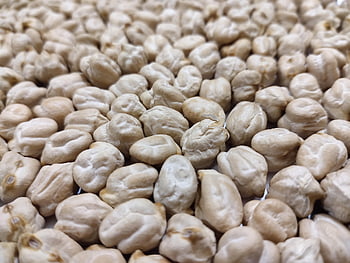 whitegram, seed, food, crop, white, healthy, closeup, farming, uncooked, cereal, gram
