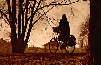 cyklista, cyklistika, jízdní kolo, vozidlo, přeprava, pohybující se, Příroda, destinace, jít někam, silnice, strom