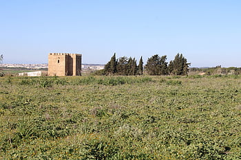 the Port Of Santa Maria, tower, castle, castle Of Doña Blanca, architecture, spain, monument, historical, tourism, history, andalusia