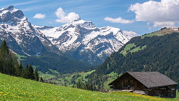 mountains, trees, forest, house, valley, summit, alpine, nature, hill, mountain Hut, rural